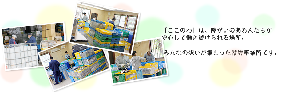 愛川町,相模原市,厚木市の就労継続支援Ａ型事業所ＮＰＯ法人ここのわ